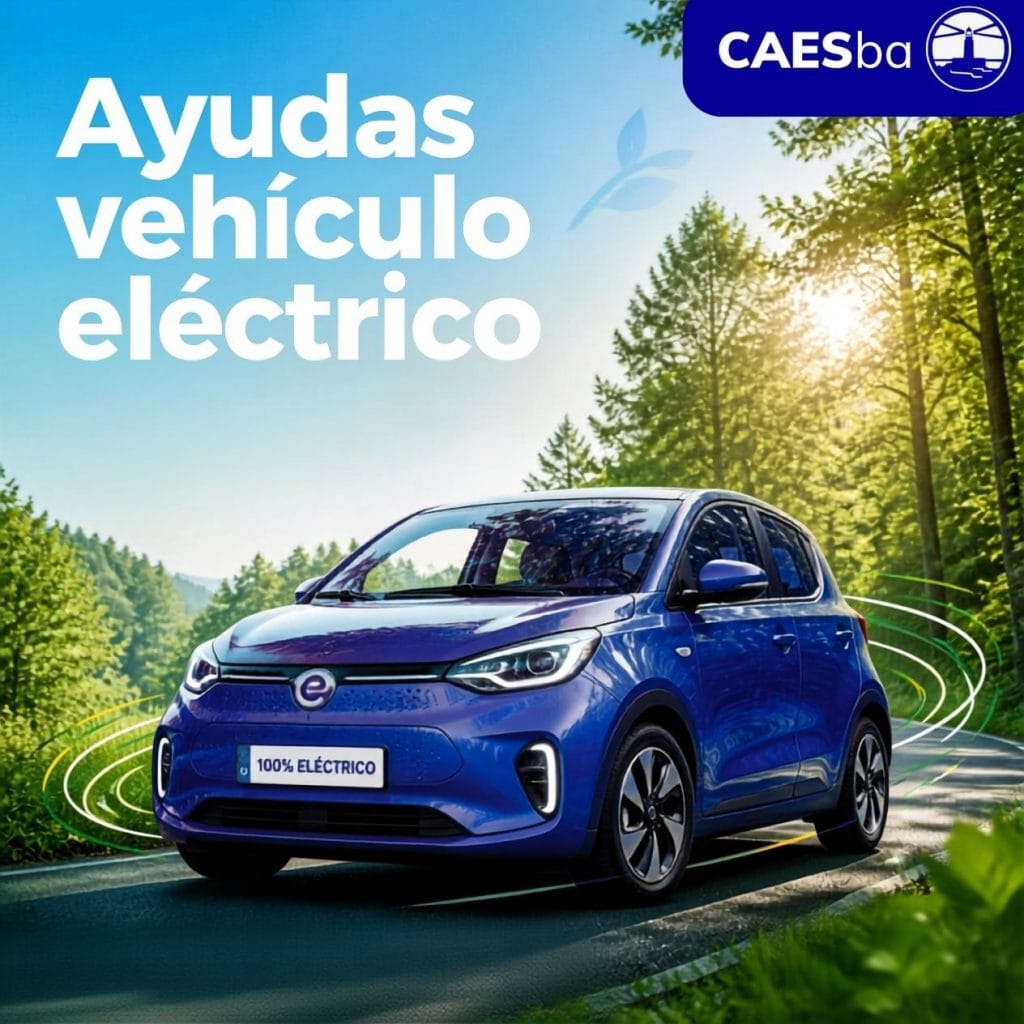 Ayudas vehículo eléctrico - CAESba